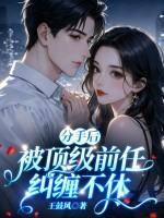 分手后,被顶级前任纠缠不休