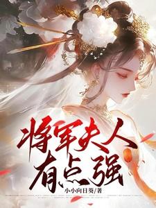 将军夫人有点强