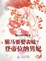 驸马要娶表妹?登帝位,纳男妃!