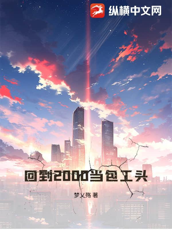 回到2000当包工头