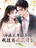 外派三年你不问,我提离婚疯什么?